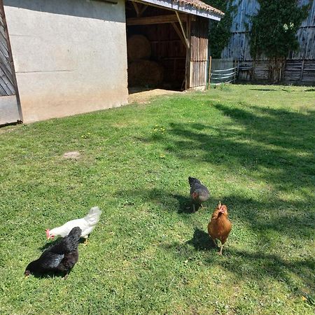 L' Embellie Sur Lot Sainte-Livrade-sur-Lot Exterior foto